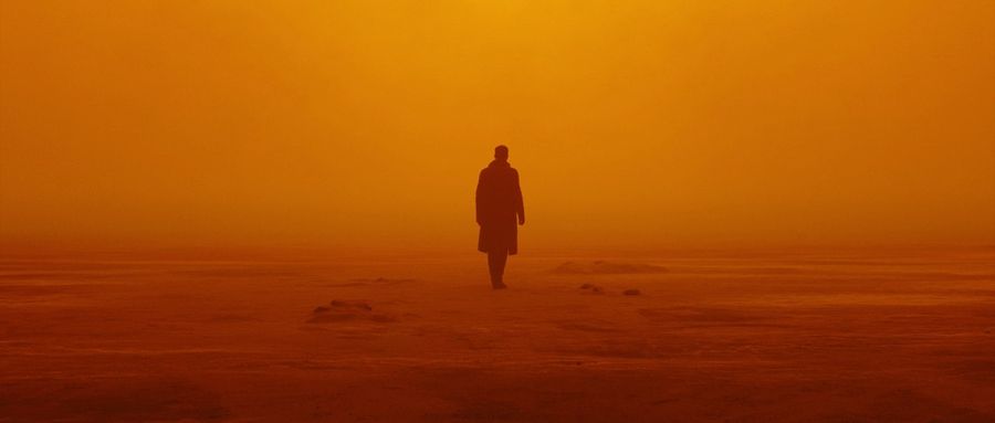 Blade Runner 2049 (2017) · dir. Denis Villeneuve · DP Roger Deakins